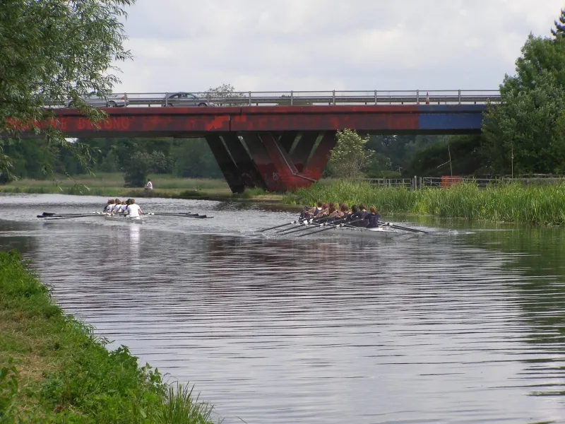 May Bumps 2008, photo 4