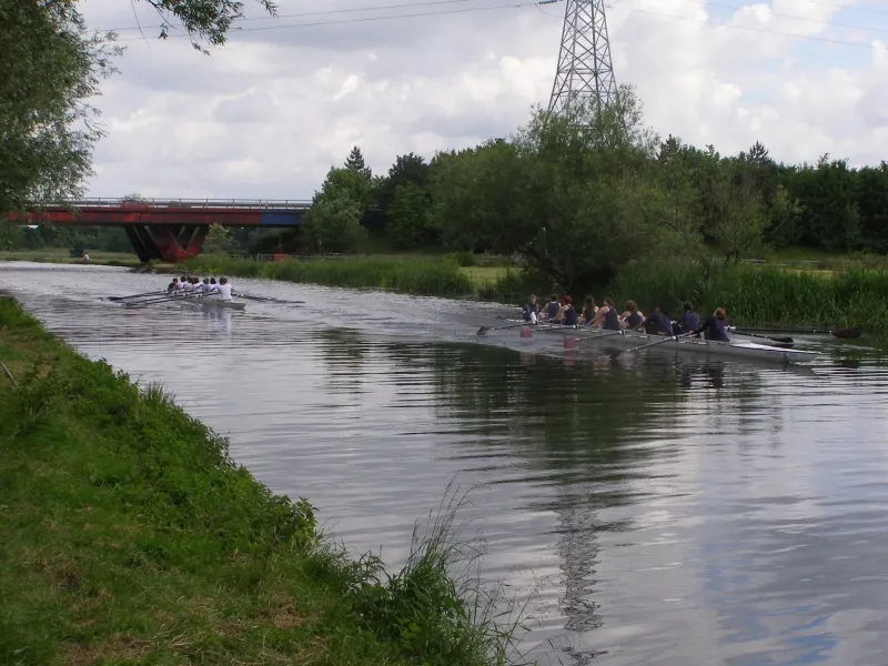 May Bumps 2008, photo 5