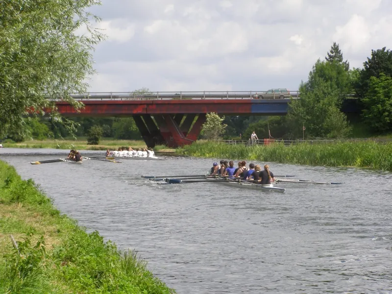 May Bumps 2008, photo 7