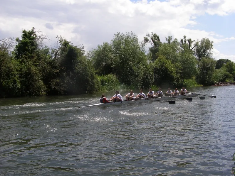 May Bumps 2008, photo 27