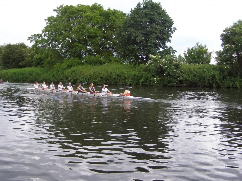 May Bumps 2008, photo 28