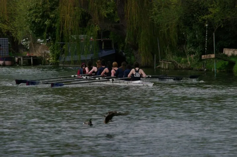 City Spring Head to Head, photo 5